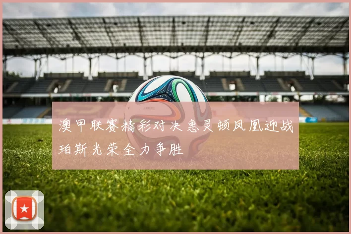 澳甲联赛精彩对决惠灵顿凤凰迎战珀斯光荣全力争胜